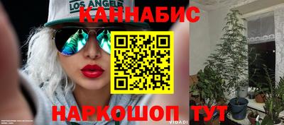 спиды Кимры