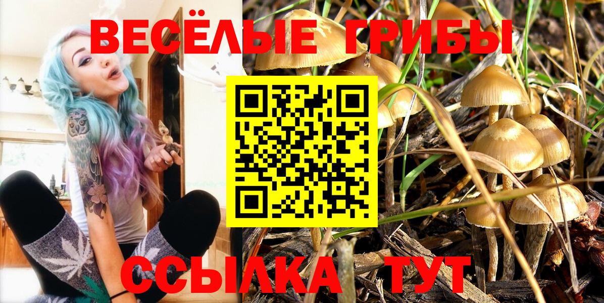 Псилоцибиновые грибы Cubensis Азов