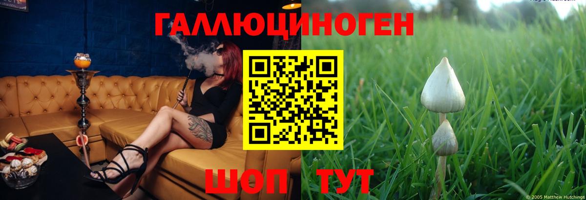 купить закладку  Псилоцибиновые грибы Psilocybe  Вход с VPN  Азов 